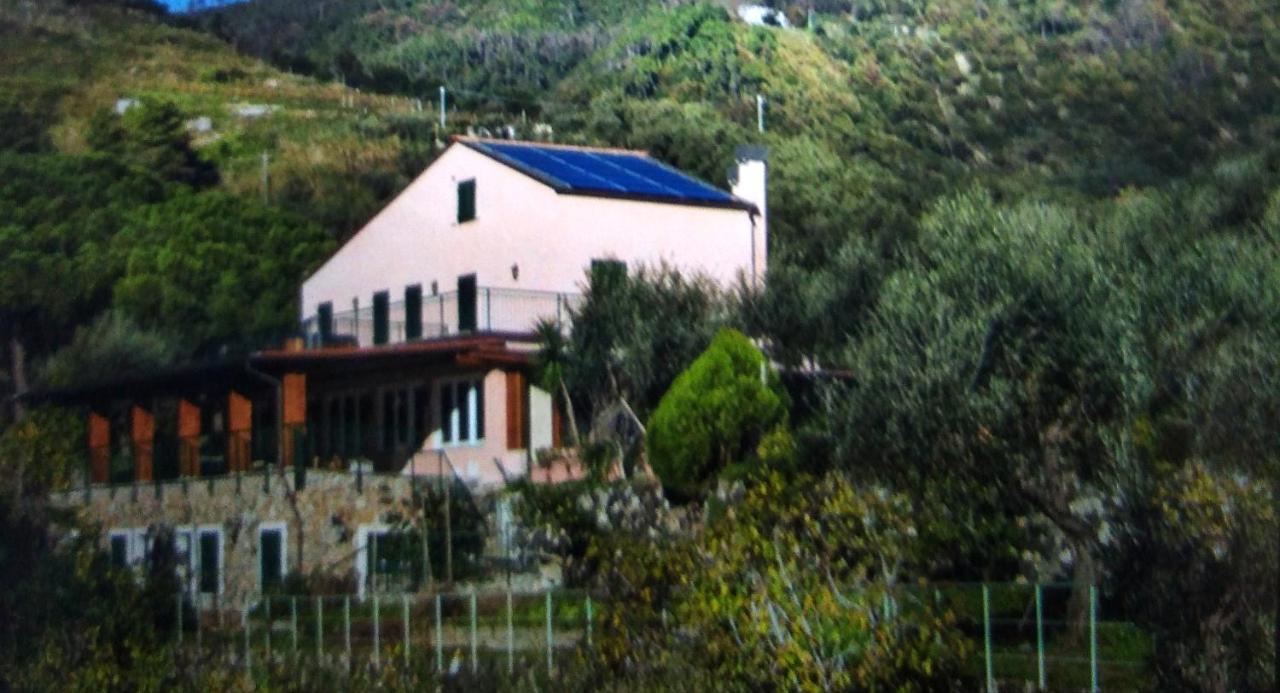 La Cabana Cinque Terre Monterosso Monterosso al Mare Exterior foto